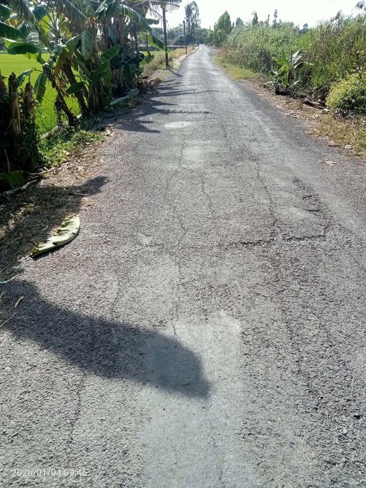 Đất nền đường Lê Thị Phụng, Mỹ Ngãi, 1.740m² giá 1.2 tỷ - Cơ hội đầu tư sinh lời!