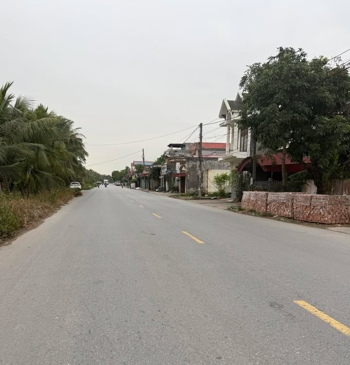 Đất mặt đường 212, xã Quang Phục, Tiên Lãng, 85m² - Kinh doanh thuận lợi!