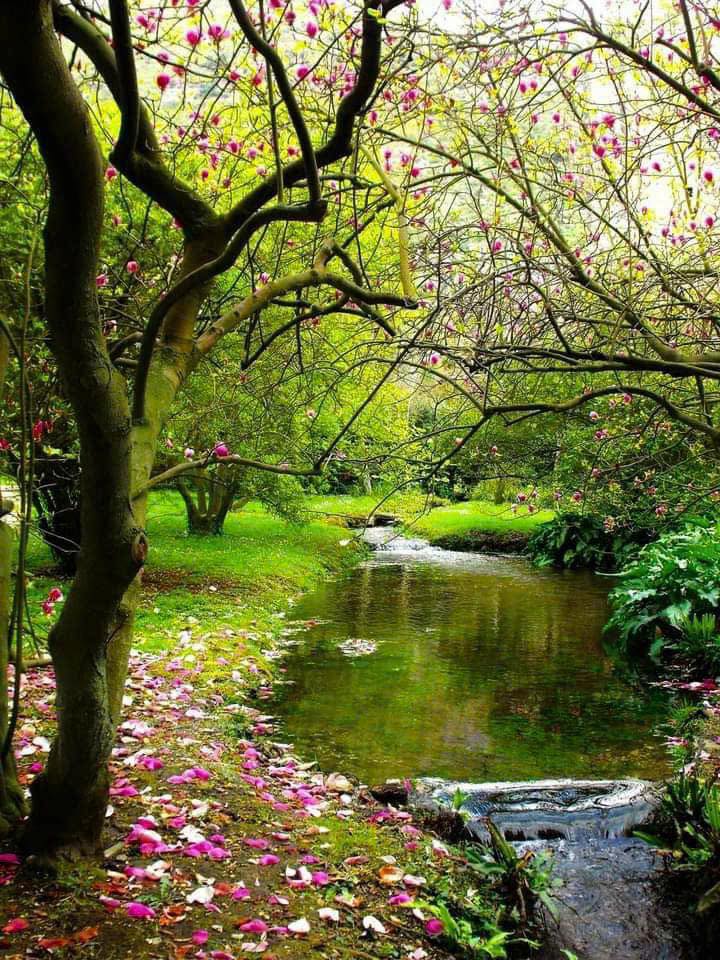 Đất nền Mộc Châu 264m² giá 3.6 tỷ - Phù hợp cho nghỉ dưỡng và nhà ở