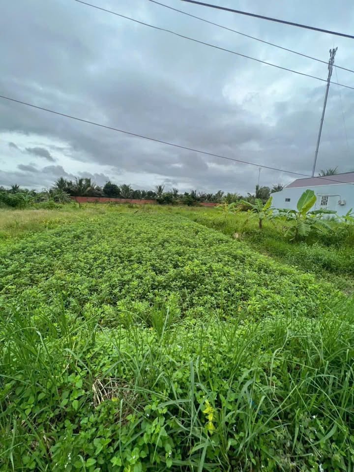 Bán đất mặt tiền lộ nhựa 5 tấn xã Phú Đức, 137m² giá 670 triệu - Cơ hội đầu tư tuyệt vời!