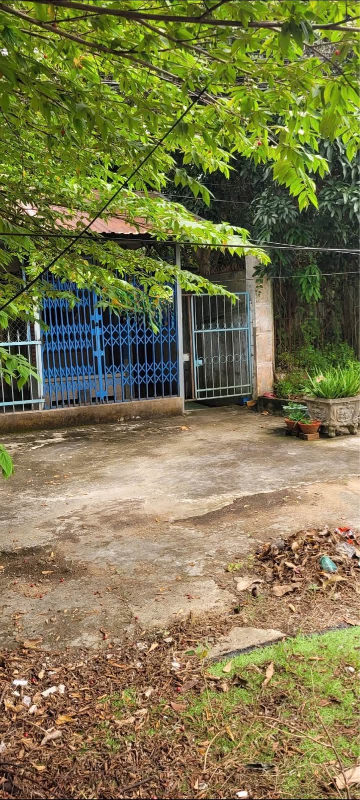 Đất thổ cư mặt tiền Quốc lộ 1A, phường Tân Hạnh, 1728m² chỉ 12 triệu/m² - Cơ hội đầu tư tốt!