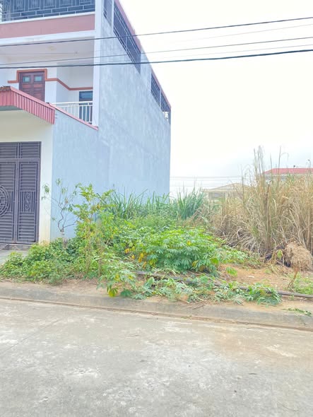 Đất nền trung tâm thị trấn Nga Sơn, Thanh Hóa 100m² - Vị trí đắc địa, giá thỏa thuận!