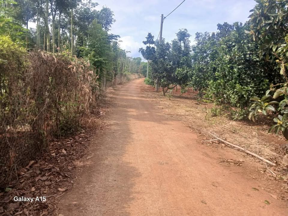 Đất nền Bàu Lâm Xuyên Mộc 3000m² giá 1.65 tỷ - Đất đẹp, vuông vức, sẵn sàng đầu tư!