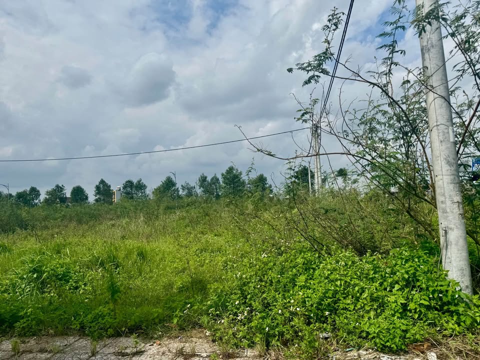 Đất nền KDC Green, Tư Nghĩa, 100m² giá 1 tỷ - Đầu tư sinh lời ngay!