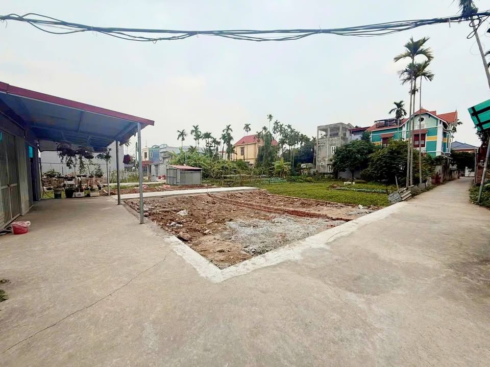 Đất liền kề ngõ 200 Thành Tô, 40m² giá 1.239 tỷ - Đầu tư sinh lời ngay!