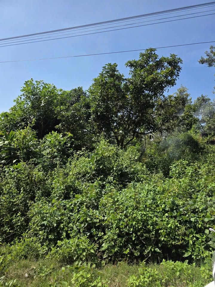 Đất nền Bảo Lộc 1071m² giá 3.7 tỷ - View tuyệt đẹp, đầu tư sinh lời!