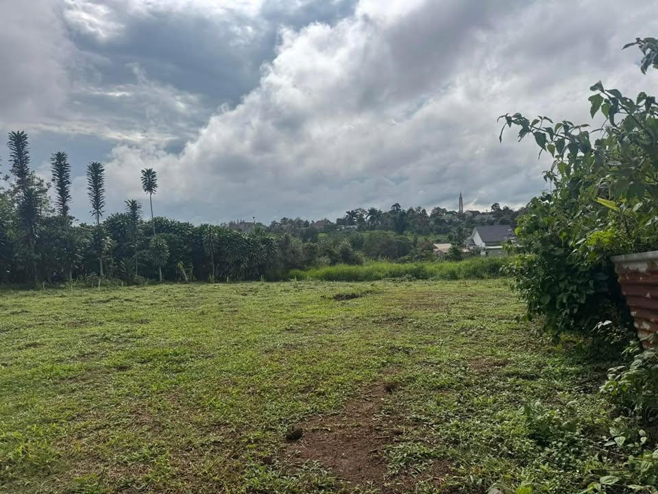 Đất nền hẻm 106 Đoàn Thị Điểm, Bảo Lộc 764m² giá 1.3 tỷ - Gần chợ và nhà thờ!