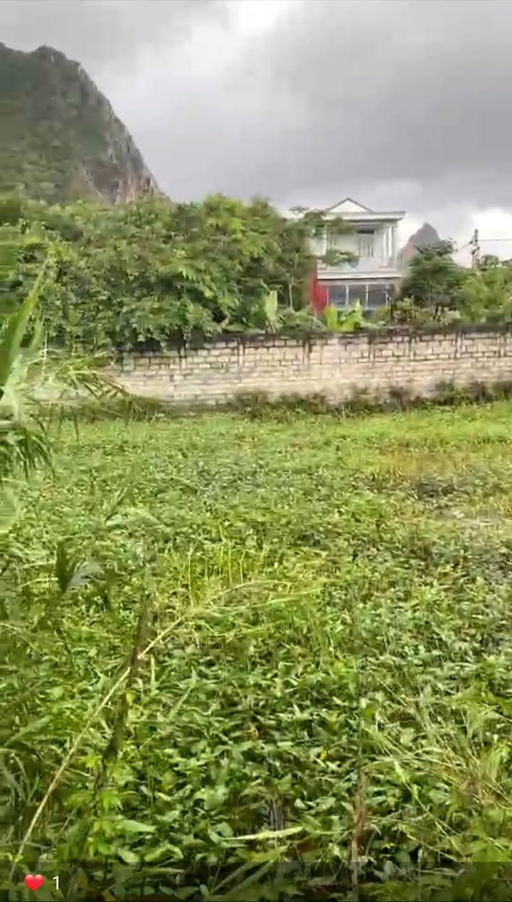 Đất lô góc thôn Tân Lập, xã Thanh Tân, 374m² giá 1,5 tỷ - Cơ hội đầu tư tuyệt vời!