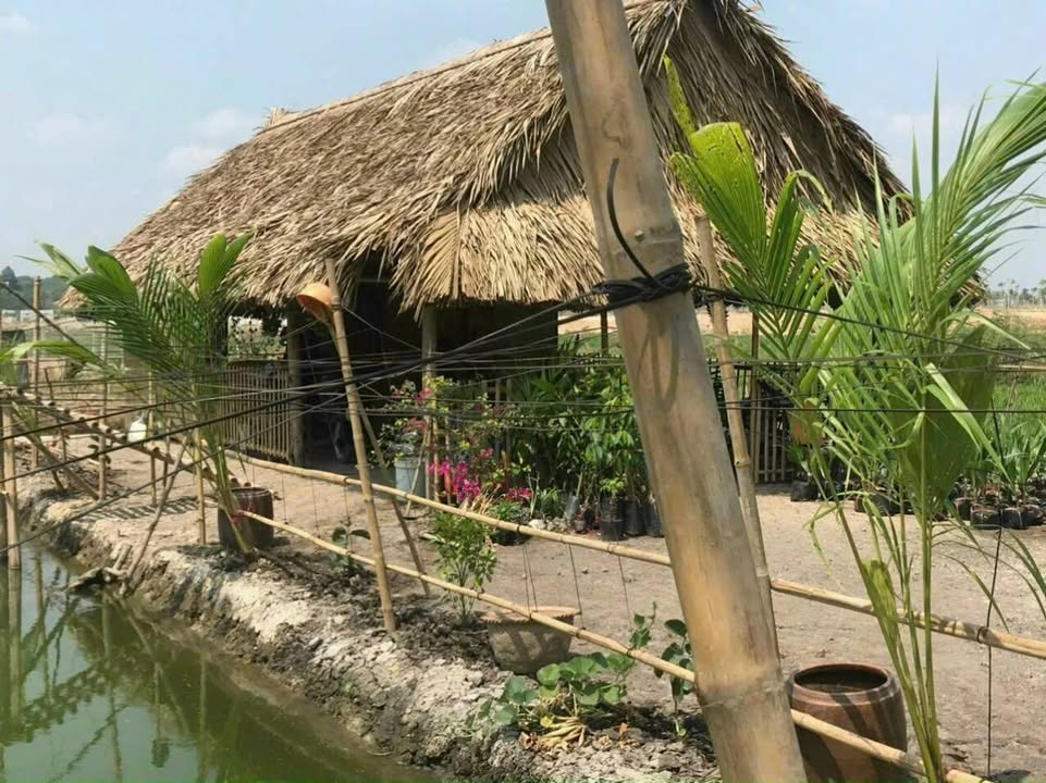 Đất mặt sông Thị Tính, An Điền, Bến Cát 2747m² giá 5.5 tỷ - Đầu tư tiềm năng sinh lời!