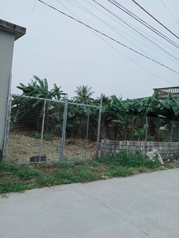 Lô góc 135m² tại Thanh Phong, Thanh Liêm chỉ 1.9 tỷ - Đường ô tô vào tận nơi!