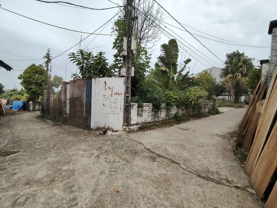 Đất nền góc 3 mặt tiền Mai Trung Hiệp Hòa 163m² giá 1.3 tỷ - Đầu tư sinh lời hấp dẫn!