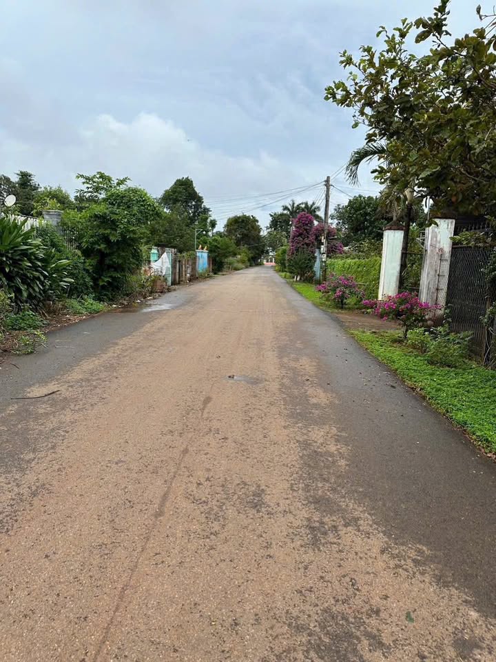 Đất nền Hòa Hội Bà Rịa - Vũng Tàu 1504m² giá chỉ 1.694 tỷ - Sổ hồng riêng, thổ cư thoải mái!