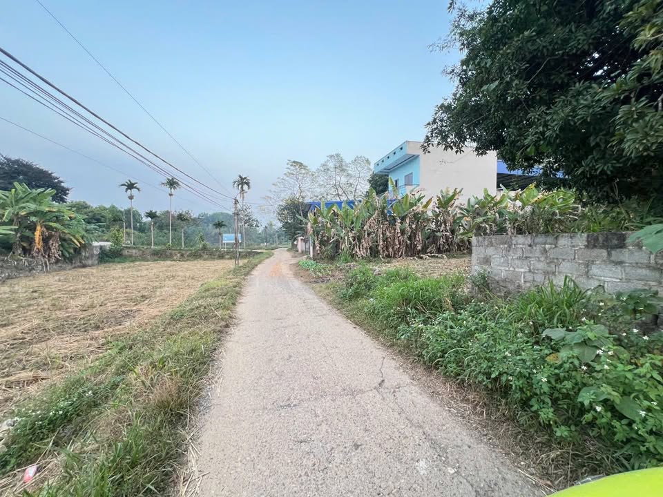 Đất nền Phú Xá 308m² giá 2.1 tỷ - Cơ hội đầu tư tuyệt vời!