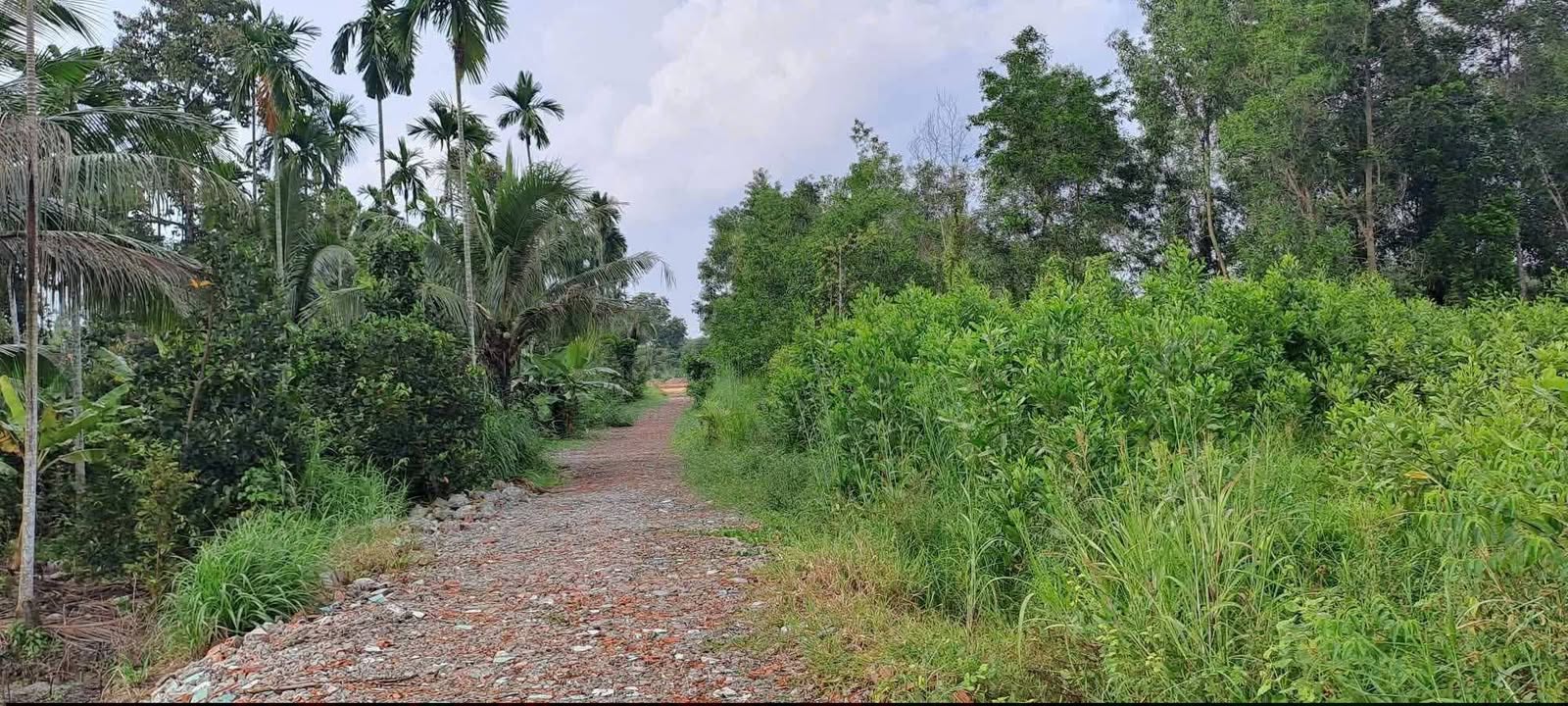 Đất nền 200m² ấp Bà Trường, Nhơn Trạch chỉ 400 triệu - Cơ hội đầu tư tốt!