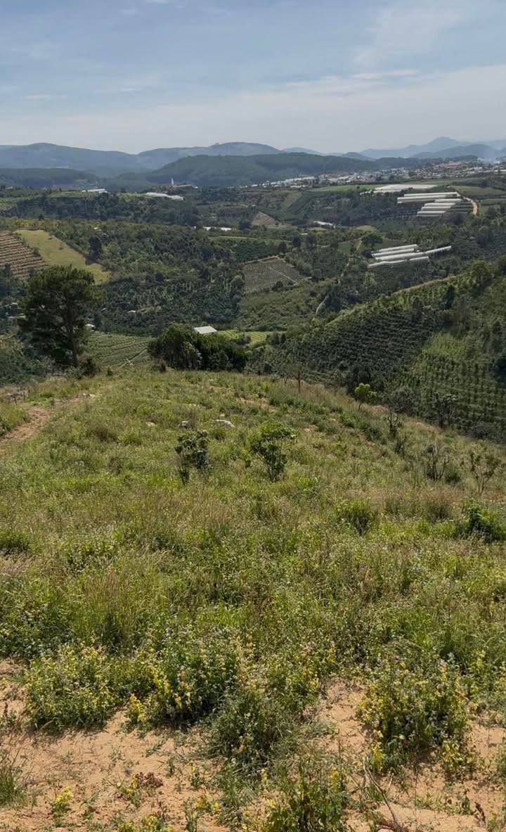 Đất nền Tà Nung Đà Lạt 15.000m² giá 1.8 tỷ - Cơ hội đầu tư hấp dẫn!