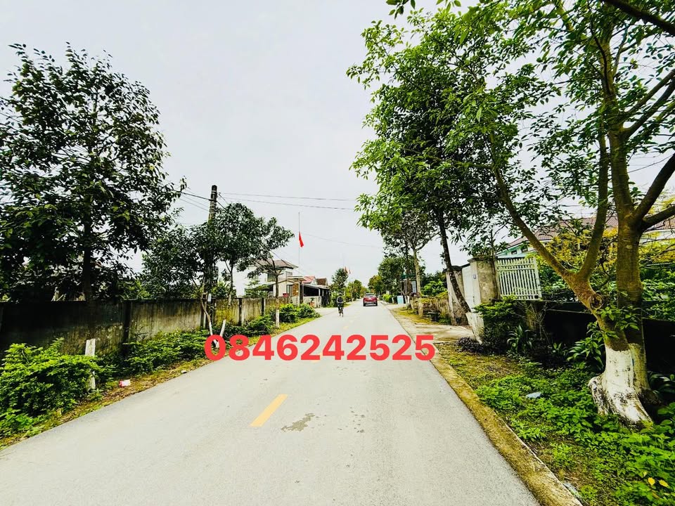 Đất nền Cẩm Xuyên 175m² giá 1.3 tỷ - Vị trí đắc địa ngay mặt đường!