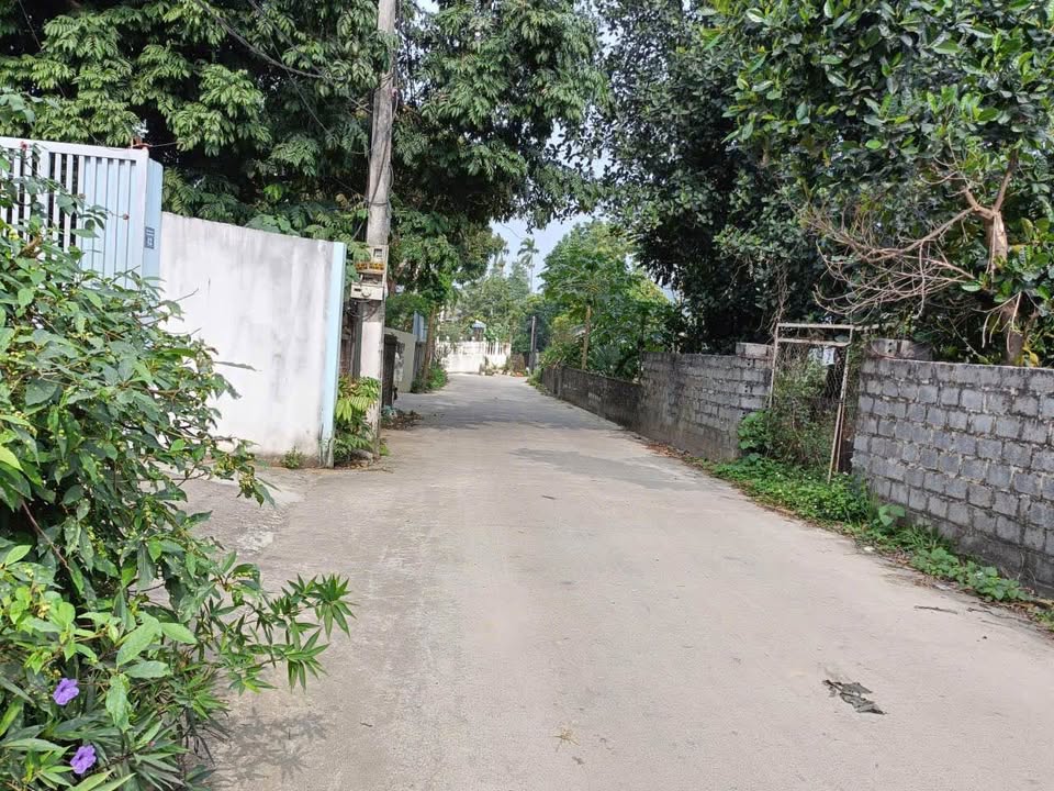 Đất thổ cư 700m² tại Xuân Mai, Chương Mỹ, giá 7 tỷ - Cơ hội đầu tư hấp dẫn!