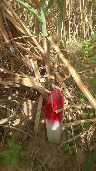 Đất nền Cam An Nam 1100m² giá chỉ 200 triệu - Cơ hội đầu tư tuyệt vời!