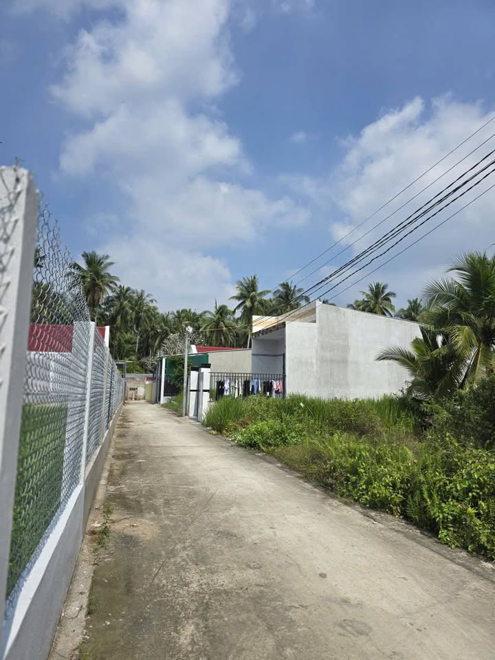 Nhà mái Thái sân vườn Bến Tre 318m² giá 1.65 tỷ - Đầy đủ nội thất cao cấp!