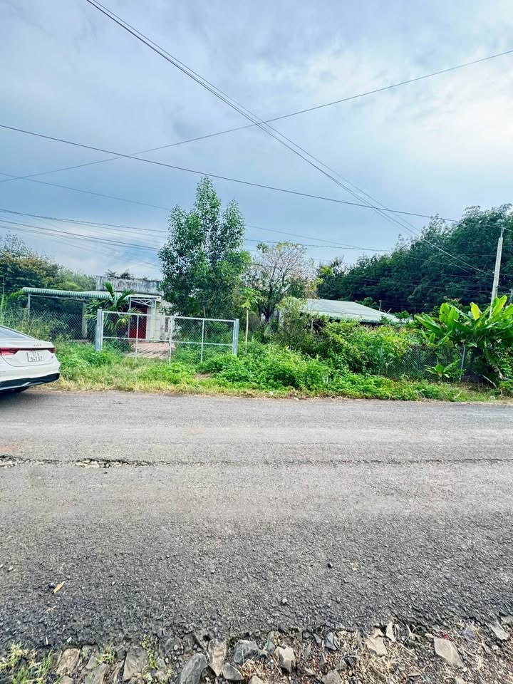 Đất nền Tân Hưng Hớn Quản 1200m² giá 1 tỷ - Nở hậu 12m, vị trí thuận lợi!