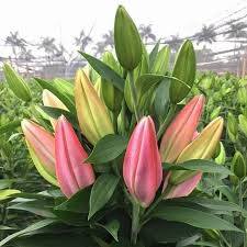 Nhà 2 mặt tiền Ngô Đức Kế, Tân Tiến, Nha Trang 35m² giá 8 tỷ - Đầu tư sinh lời!