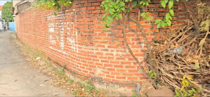 Đất nền Đồi Ngô, Lục Nam 100m² chỉ 1 tỷ - Sổ đỏ chính chủ, ô tô vào tận nơi!