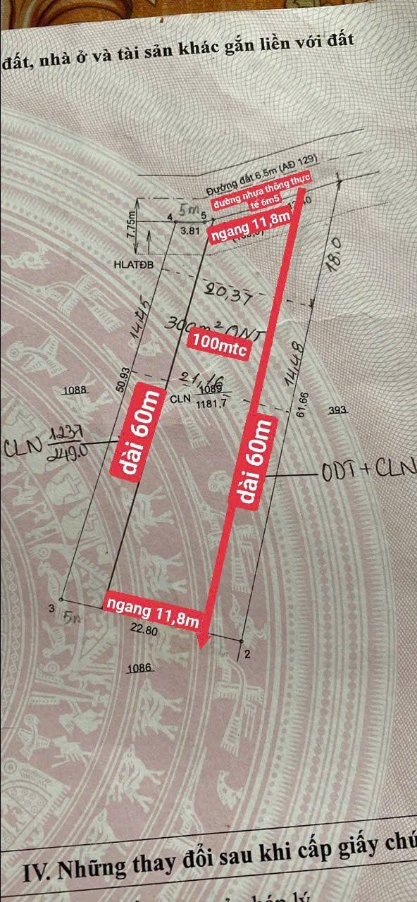 Đất nền An Điền Bến Cát 708m² giá 3.1 tỷ - Cơ hội đầu tư hấp dẫn!