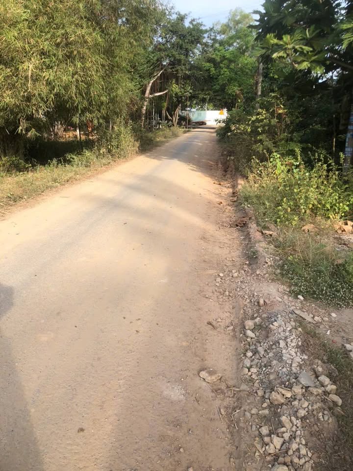 Đất thổ cư Trảng Bàng, Tây Ninh 476m² giá 1.55 tỷ - Mặt tiền đường nhựa thuận tiện!