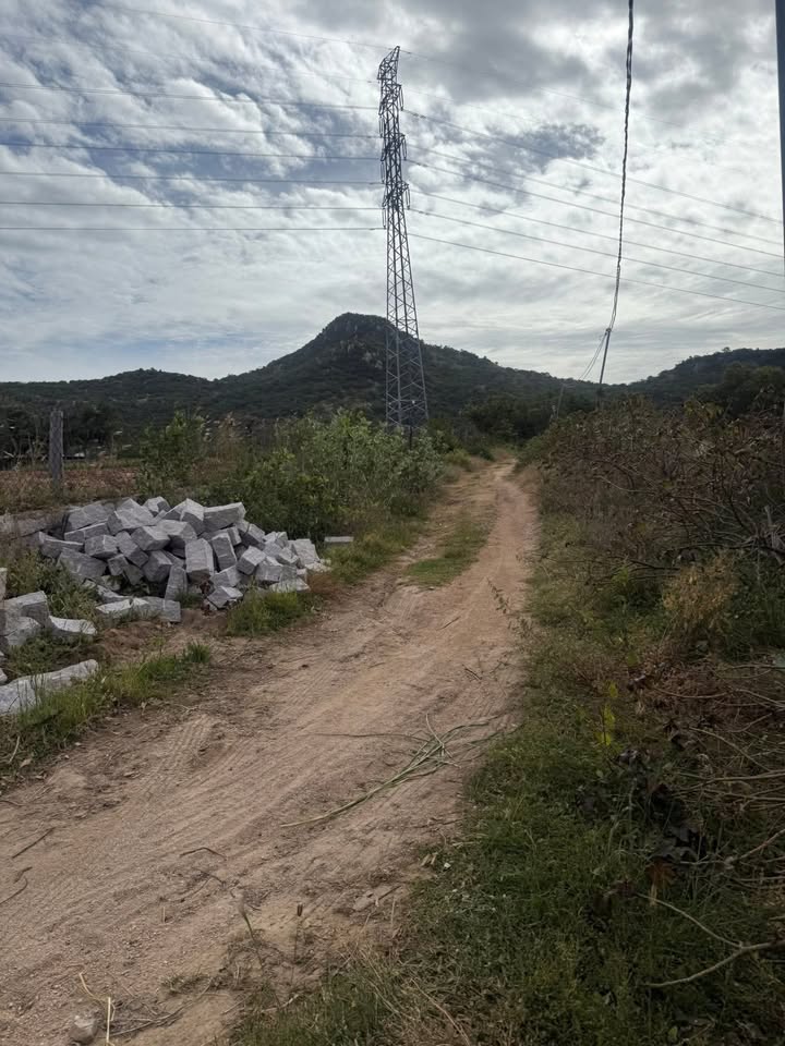 Đất nông nghiệp 4 sào tại Nhơn Hải - Ninh Hải, Ninh Thuận giá chỉ 1.6 tỷ - Đầu tư sinh lời ngay!