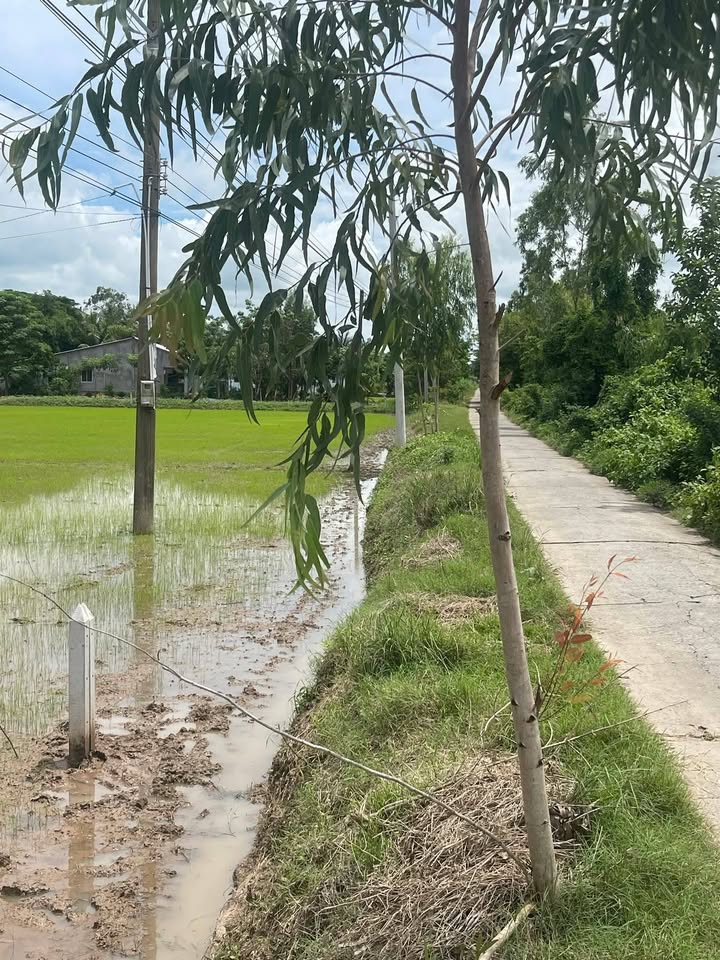 Đất nền mặt tiền HL 29, xã Long Phú, 20m² giá 25 triệu - Đầu tư sinh lời!