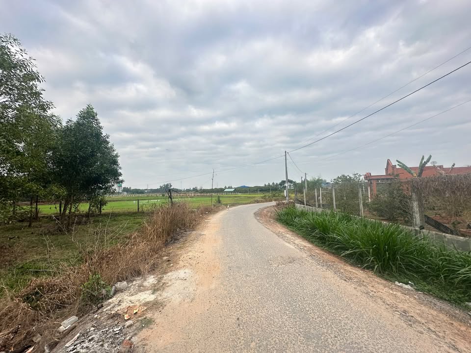 Đất xây kho xưởng 2500m² tại Gò Dầu, Tây Ninh - Giá chỉ 220 triệu