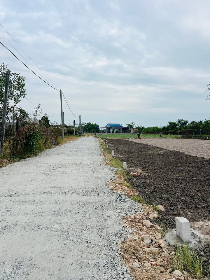 Đất nền Thanh Điền, Châu Thành, Tây Ninh 110m² - Giá chốt chỉ 390 triệu!