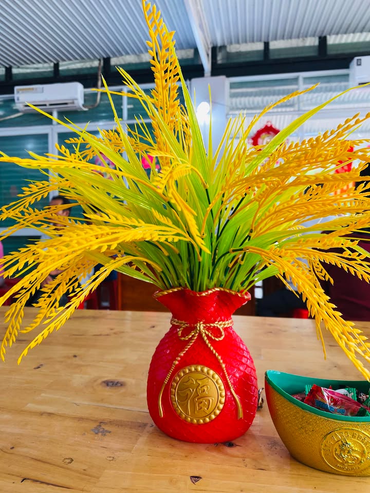 Đất thổ cư 130m² tại Hòa Thành, Tây Ninh - Giá chỉ từ 126 triệu/m²