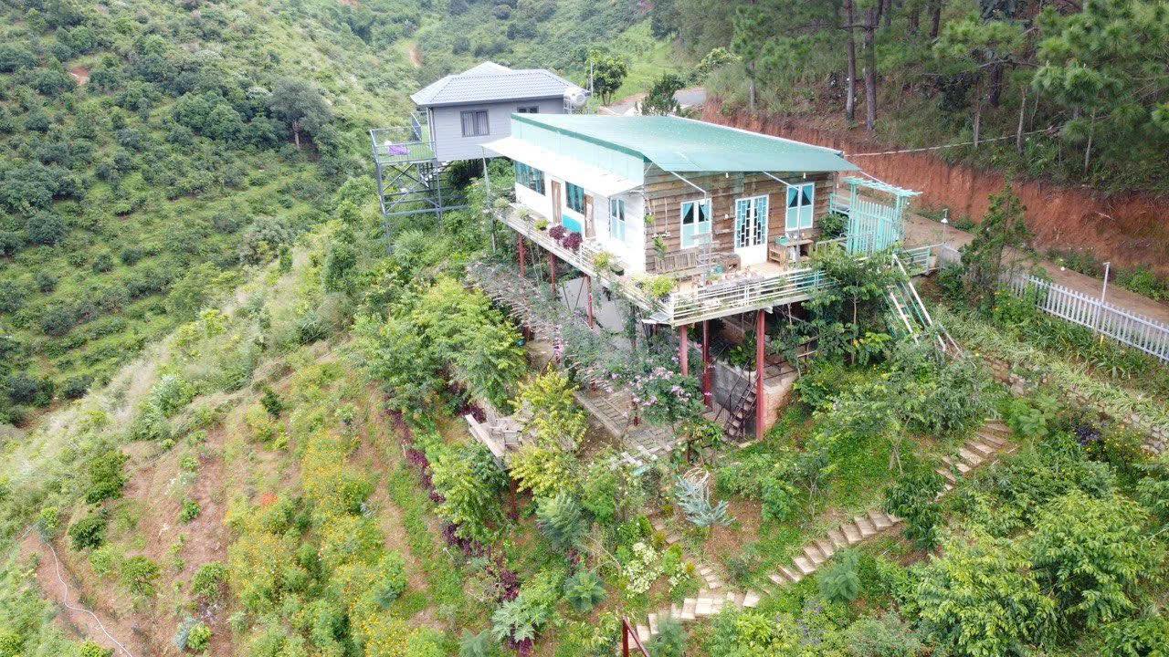 Farm Mê Linh Lâm Hà 2700m² giá 3.989 tỷ - Không gian nghỉ dưỡng lý tưởng!