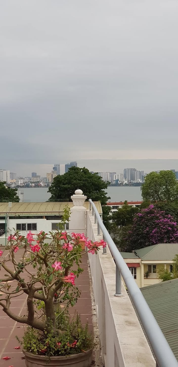 Nhà mặt phố Nghi Tàm Tây Hồ 120m² giá 20 tỷ - Kinh doanh sầm uất ngay vị trí đắc địa!