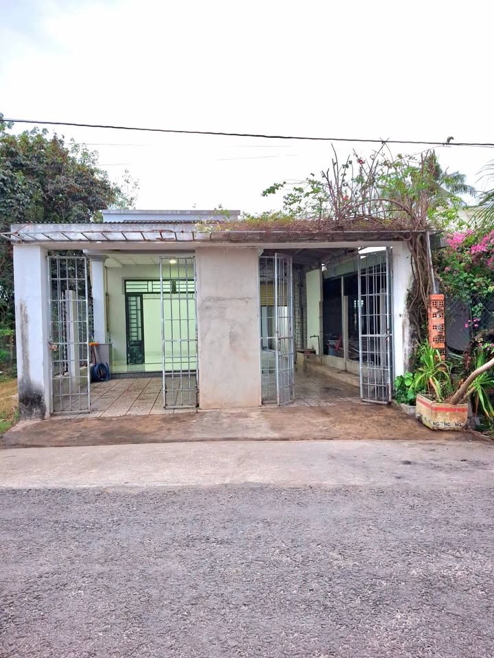 Nhà riêng Phường Long Hoa, Hòa Thành, Tây Ninh 294m² giá 1.39 tỷ - Sân rộng trồng rau nuôi cá!