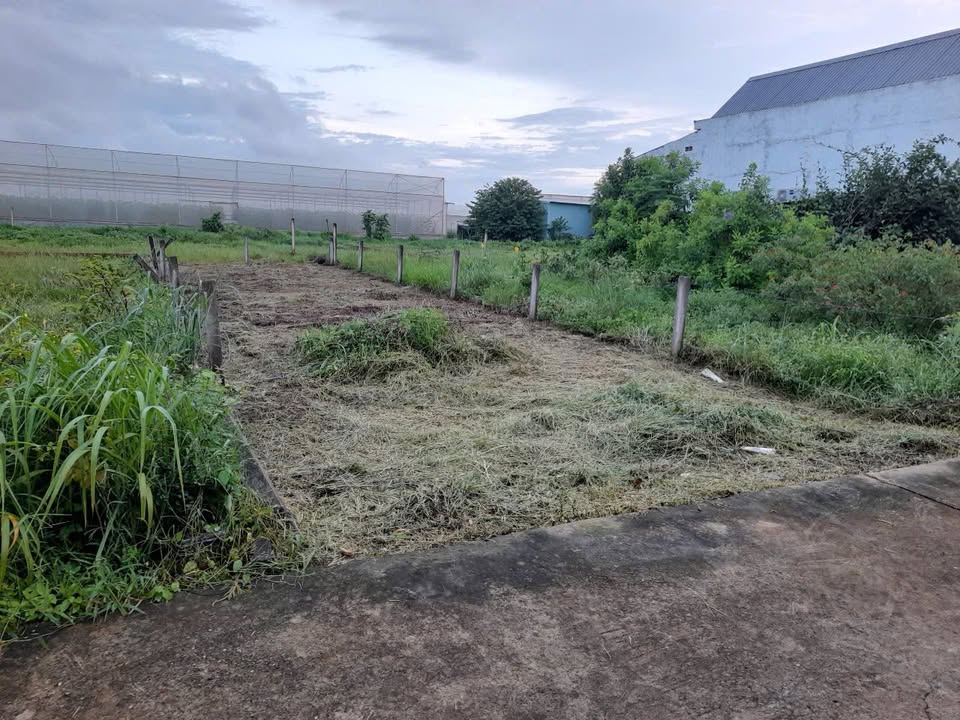 Lô đất 152.8m² tại xã Long Tân, huyện Đất Đỏ - Giá chỉ 840 triệu