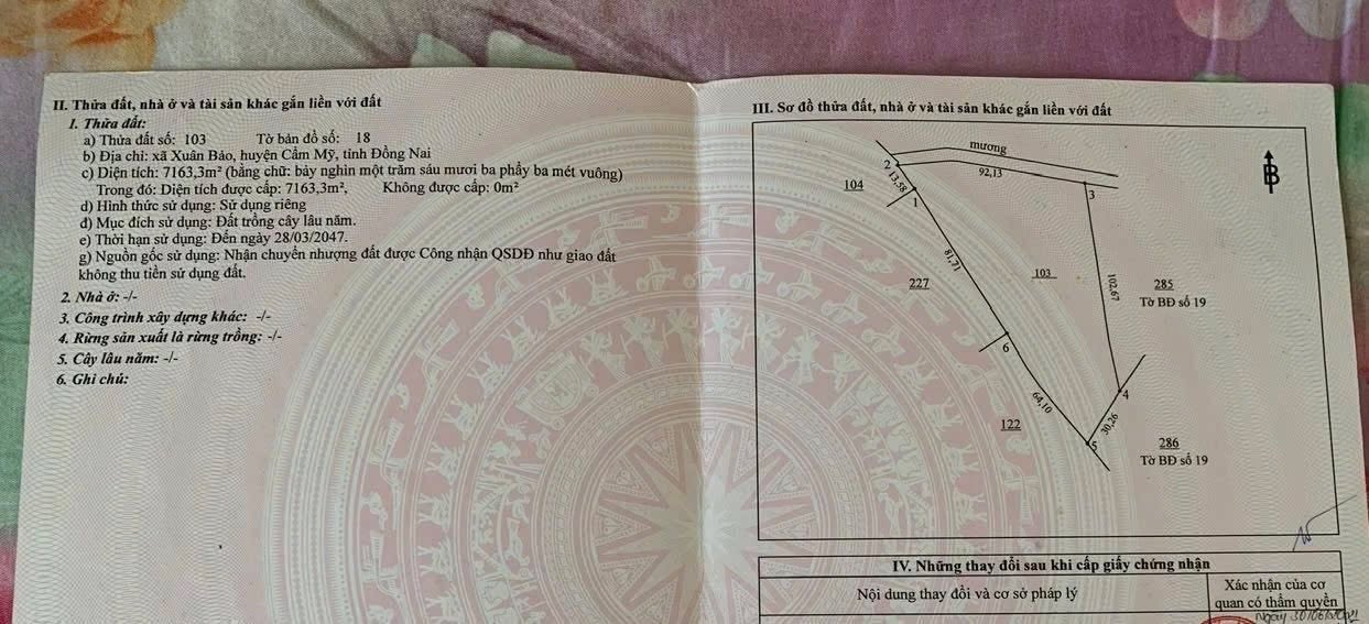 Đất Farm Cẩm Mỹ Đồng Nai 16.657m² giá 10.797 tỷ - Đầu tư sinh lời hấp dẫn!