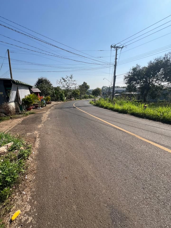 Lô đất chính chủ tại xã Xuân Tây, 1.6068ha chỉ 1.2 tỷ - Đầu tư sinh lời ngay!