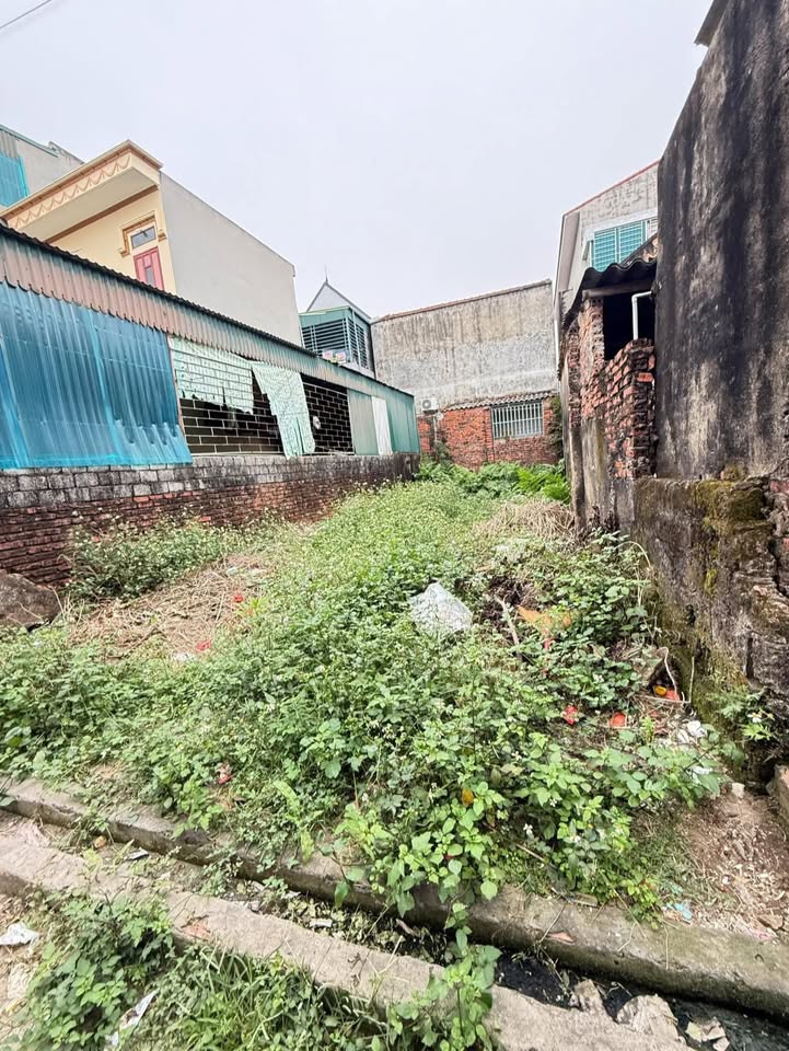 Đất nền Minh Lộc Hậu Lộc 74m² giá 900 triệu - Cơ hội đầu tư hiếm có!