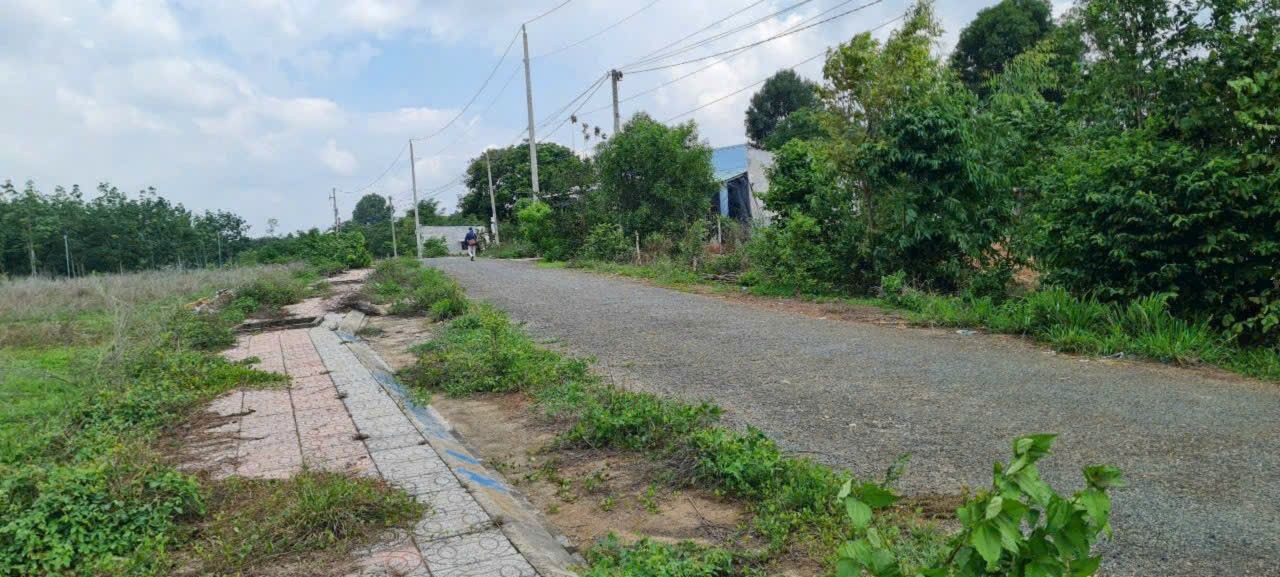 Đất nền mặt tiền đường Võ Văn Kiệt, phường Tân Thành, 160m² - Sổ hồng chính chủ, giá 800 triệu!