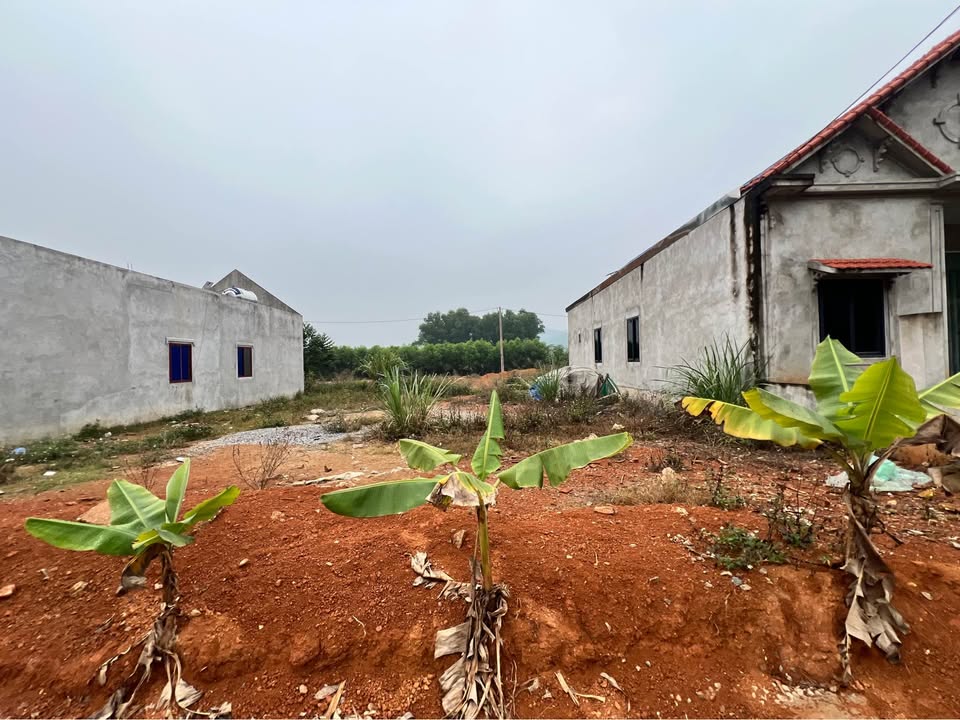 Đất tái định cư Nhữ Khê, Yên Sơn, Tuyên Quang 300m² - Giá hợp lý, vị trí đắc địa!