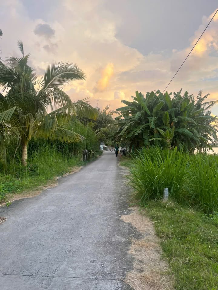 Đất đẹp 2 mặt tiền Cờ Đỏ, Cần Thơ - Diện tích 1142m² chỉ 800 triệu!