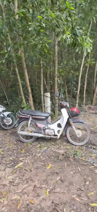 Đất rừng Quế Mỹ 1,7ha giá 870 triệu - Cơ hội đầu tư sinh lời!