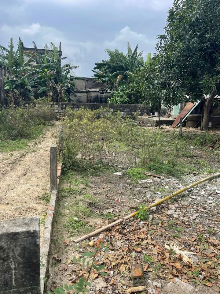 Đất nền Điện Nam Bắc 114m² giá 1.4 tỷ - Hướng Đông sạch đẹp, gần chợ và KCN!