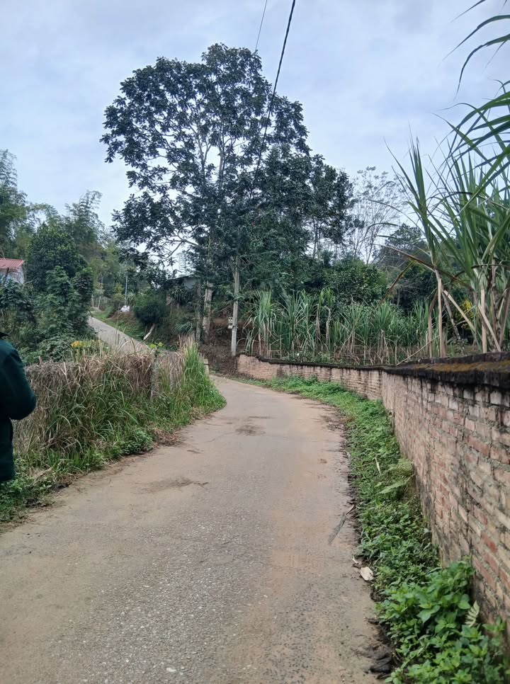 Đất vườn Hưng Đạo, Cao Bằng 200m² giá chỉ 600 triệu - Tiềm năng chia lô cao!