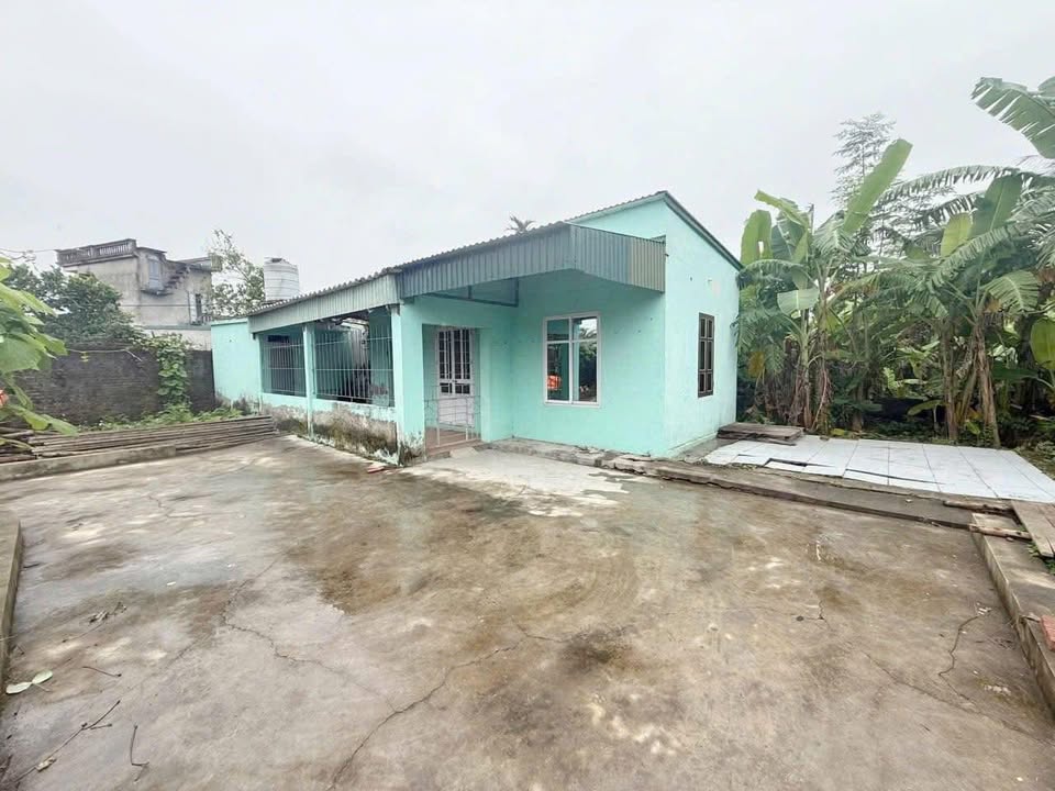 Đất nền Trung Lập Vĩnh Bảo 230m² giá 1 tỷ - Lô đất đẹp, tiềm năng phát triển!