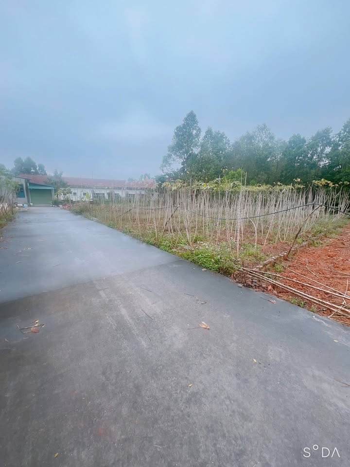 Đất liền kề tại xã Hy Cương, Việt Trì 100m² chỉ từ 900 triệu - Sổ đỏ chính chủ!