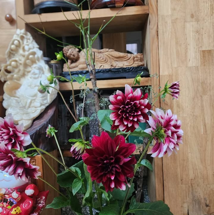 Nhà hẻm Lãnh Binh Thăng, Quận 11 - Diện tích 32.7m² giá 4.75 tỷ - Gần đường 3/2, giao thông thuận tiện!