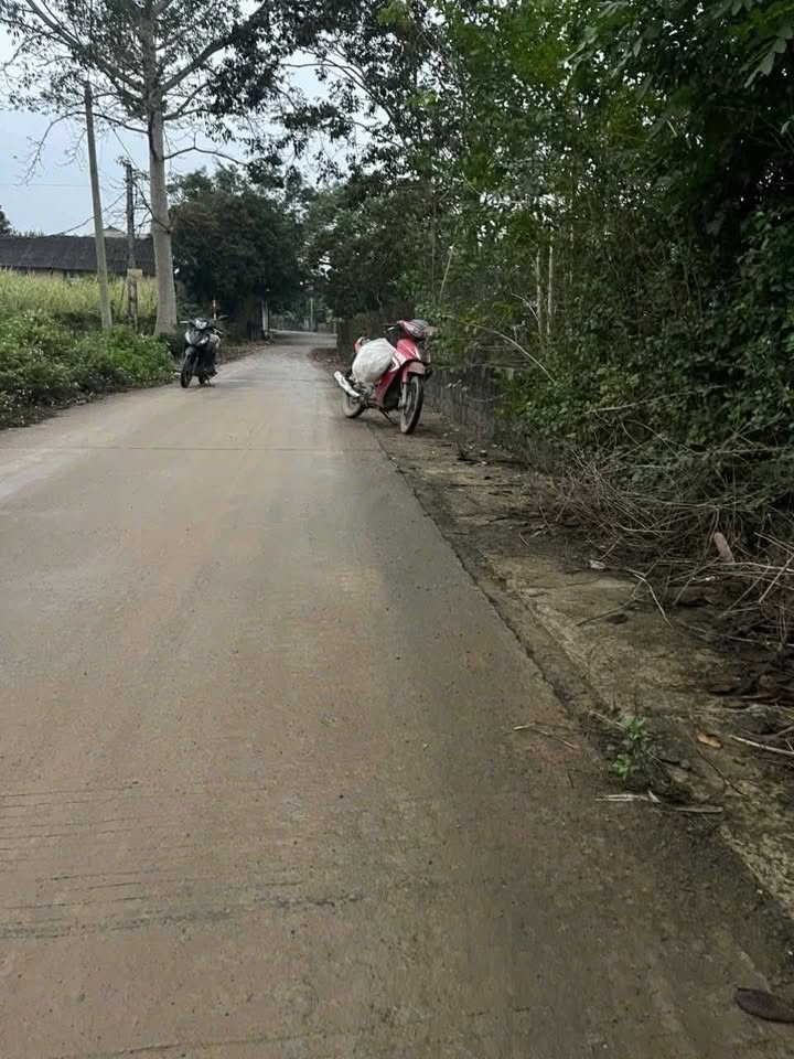 Đất nền Cao Phong 200m² giá 1 tỷ - Vị trí đắc địa giao thông thuận lợi!